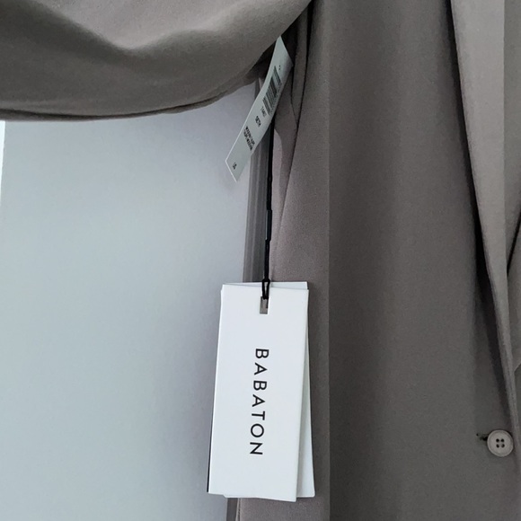 Babaton Blazer - Picture 5 of 6